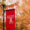 Fall Flag